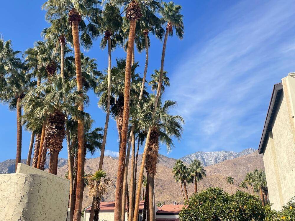 Palm Springs, CA 92264,1490 S Camino Real #208