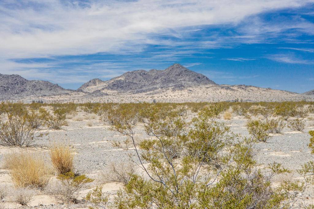 29 Palms, CA 92277,109 Bullion Mountain RD