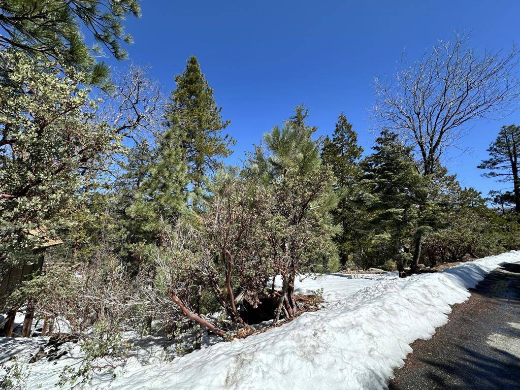 Idyllwild, CA 92549,0 Big Rock