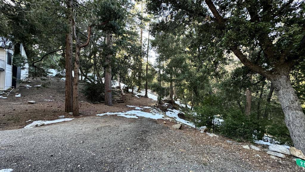 Idyllwild, CA 92549,25235 Nestwa TRL