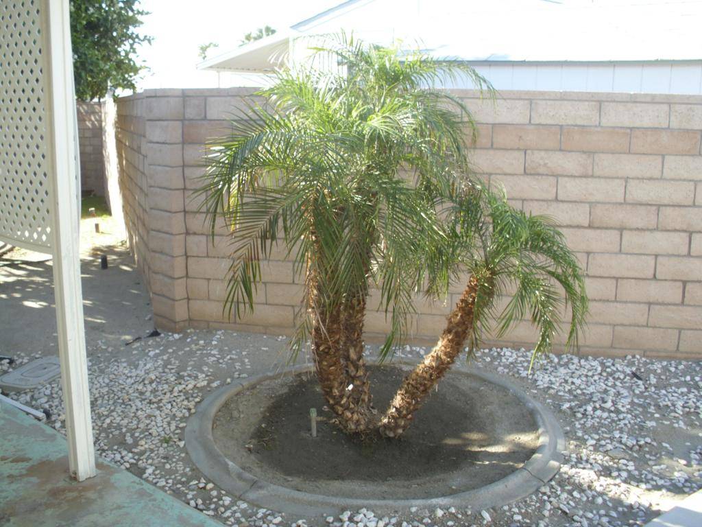 Thousand Palms, CA 92276,32410 San Miguelito DR