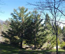 Running Springs, CA 92382,42 Park DR