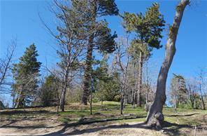 Running Springs, CA 92382,42 Park DR