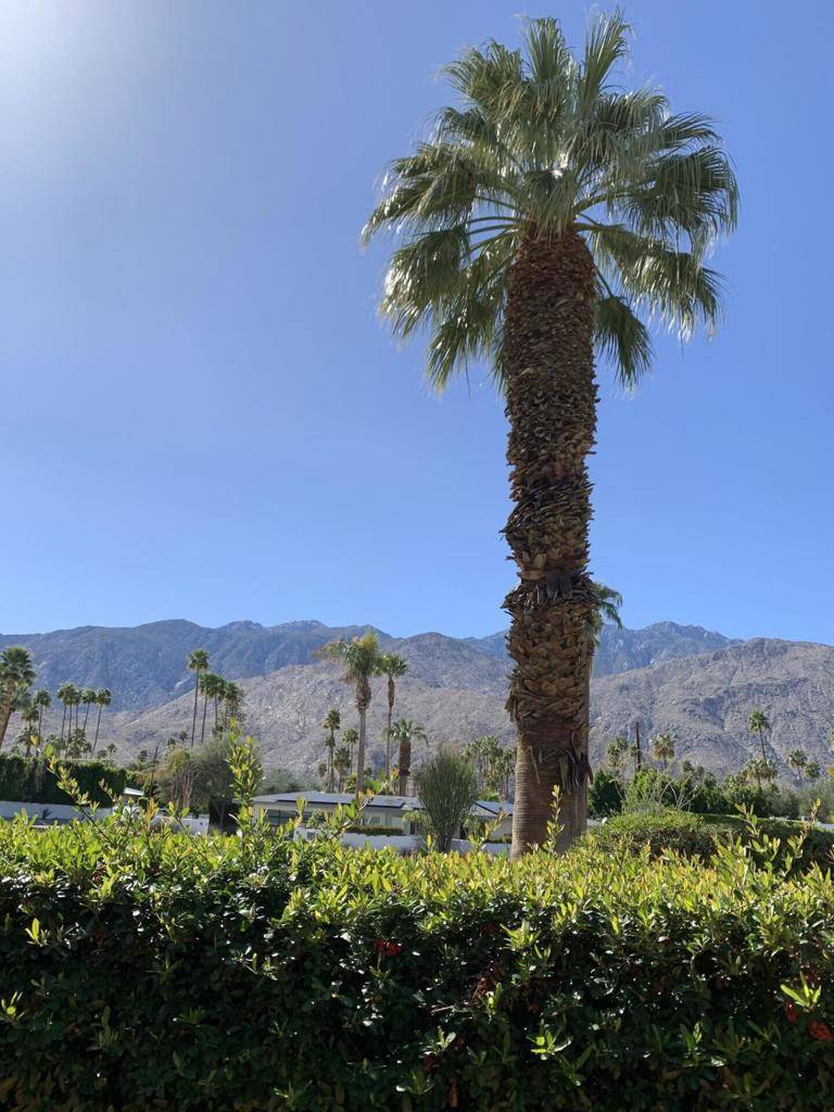 Palm Springs, CA 92264,1705 Capri CIR