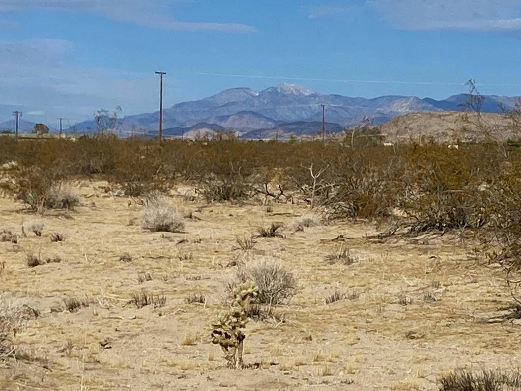 Joshua Tree, CA 92252,307 Arizona AVE
