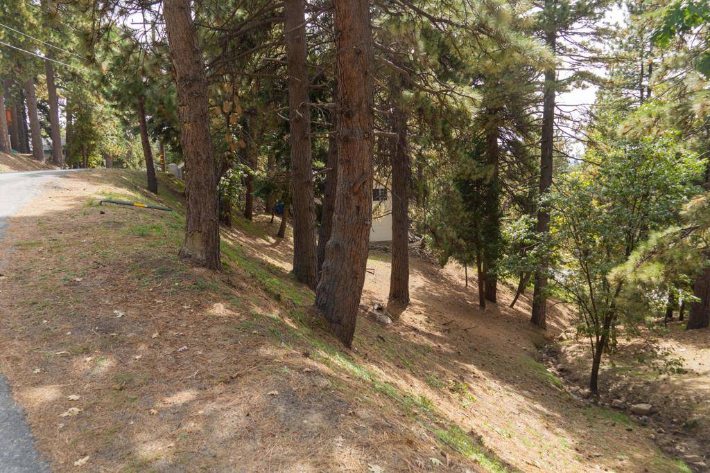 Running Springs, CA 92382,0 Circle View Dr
