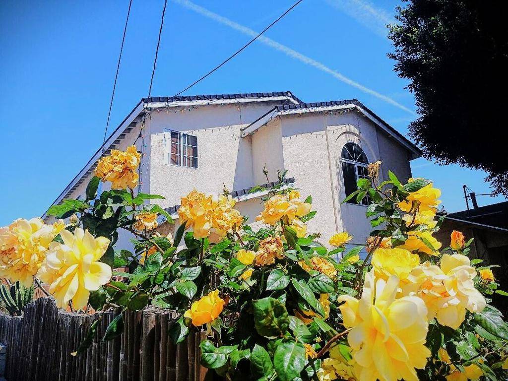 San Pedro, CA 90731,230 232 W 15th ST