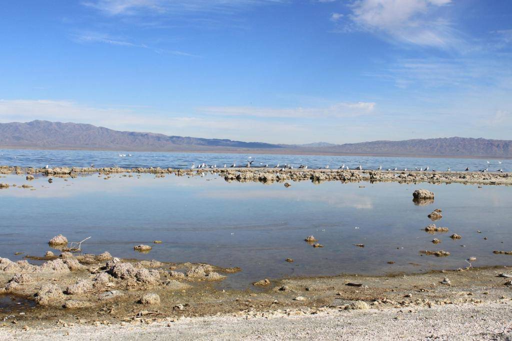 Thermal, CA 92274,2552 Sea Pearl AVE