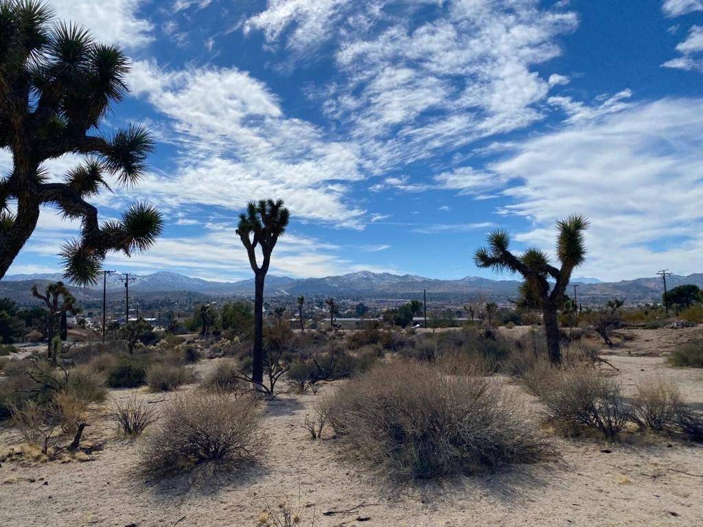 Yucca Valley, CA 92284,57020 Crestview DR