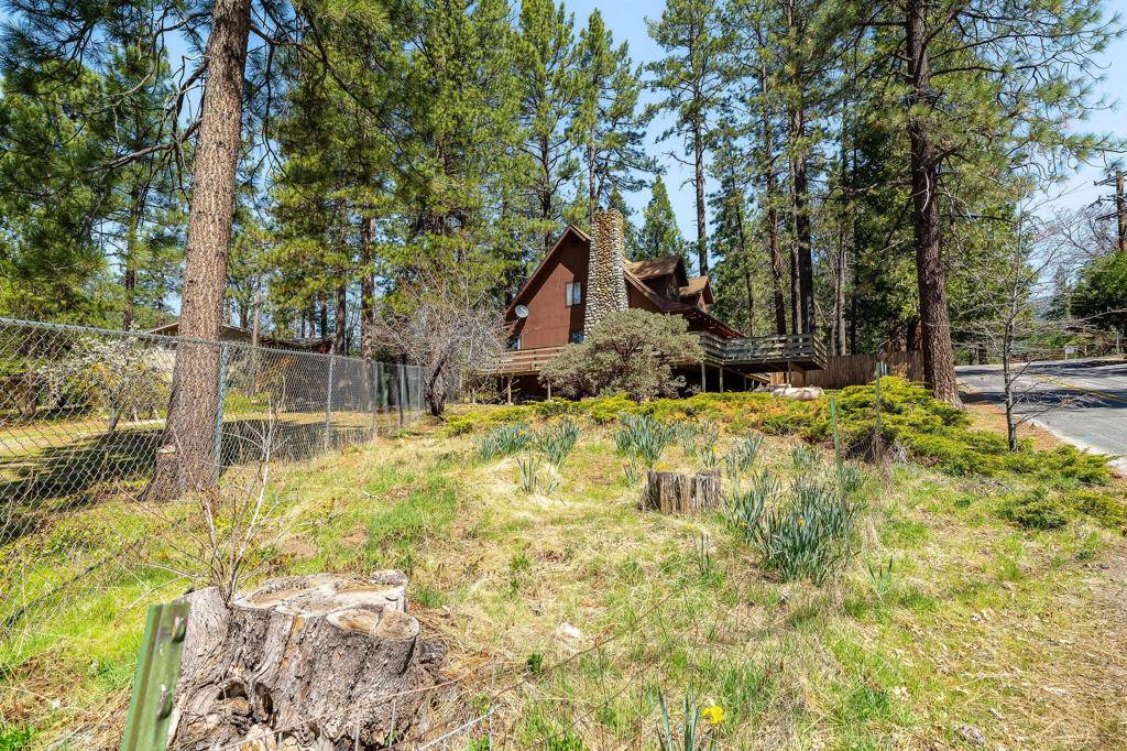 Idyllwild, CA 92549,54025 Pine Crest AVE