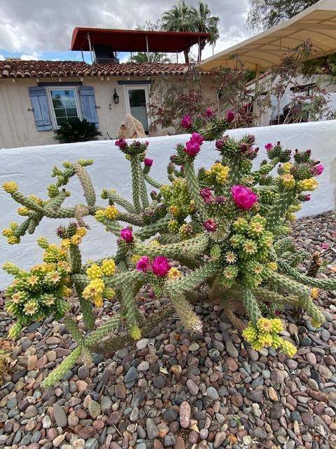 Palm Springs, CA 92262,1029 E El Alameda