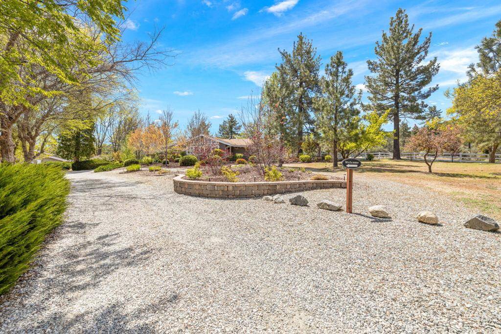 Mountain Center, CA 92561,60206 Devils Ladder RD