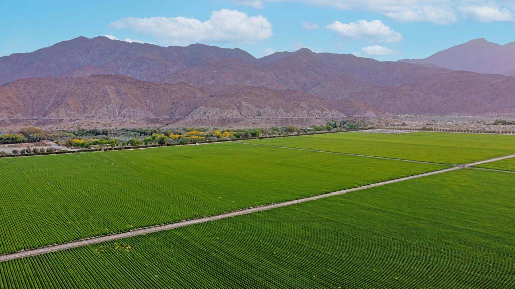 Thermal, CA 92274,82501 65th Avenue