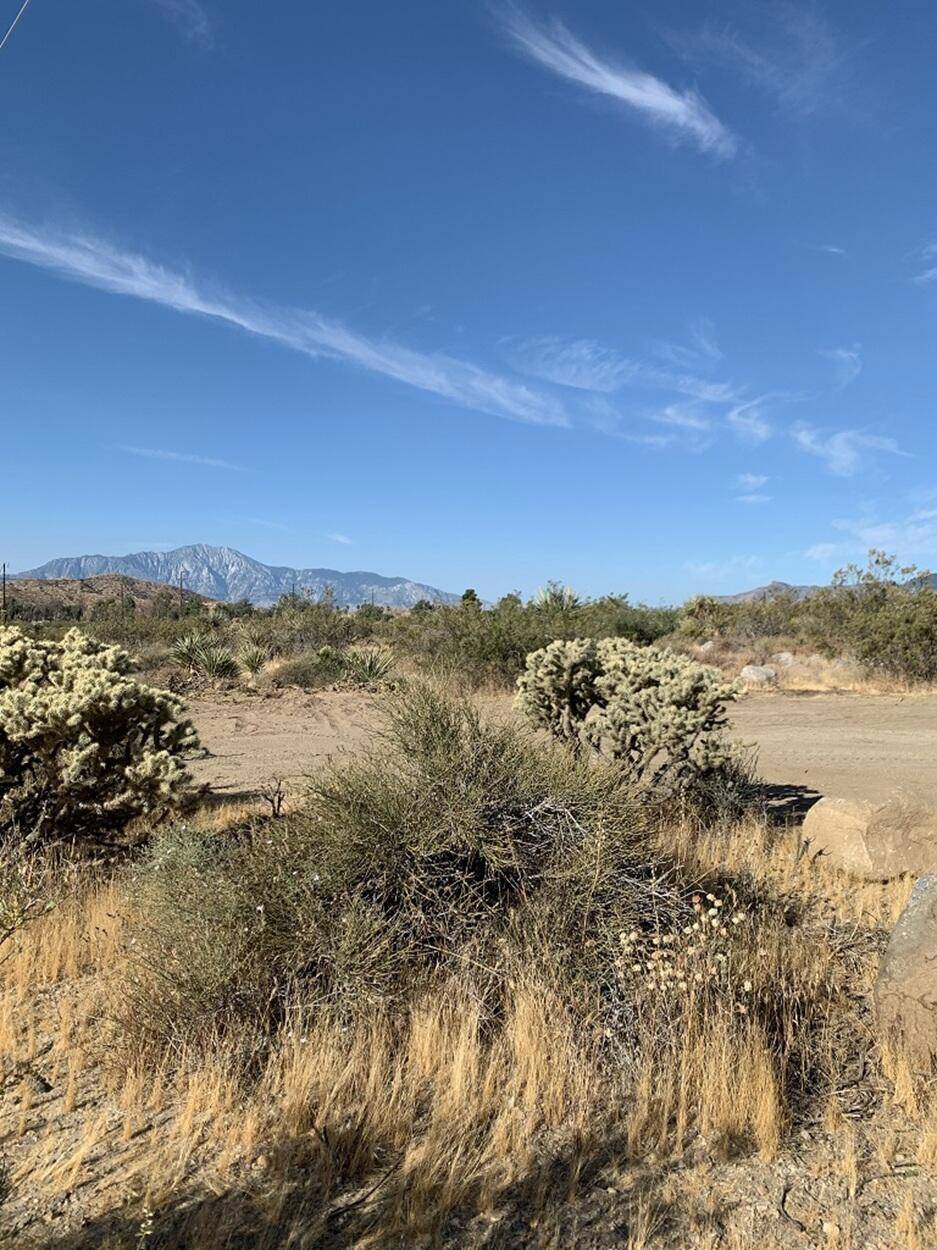 Morongo Valley, CA 92256,9792 Fobes RD