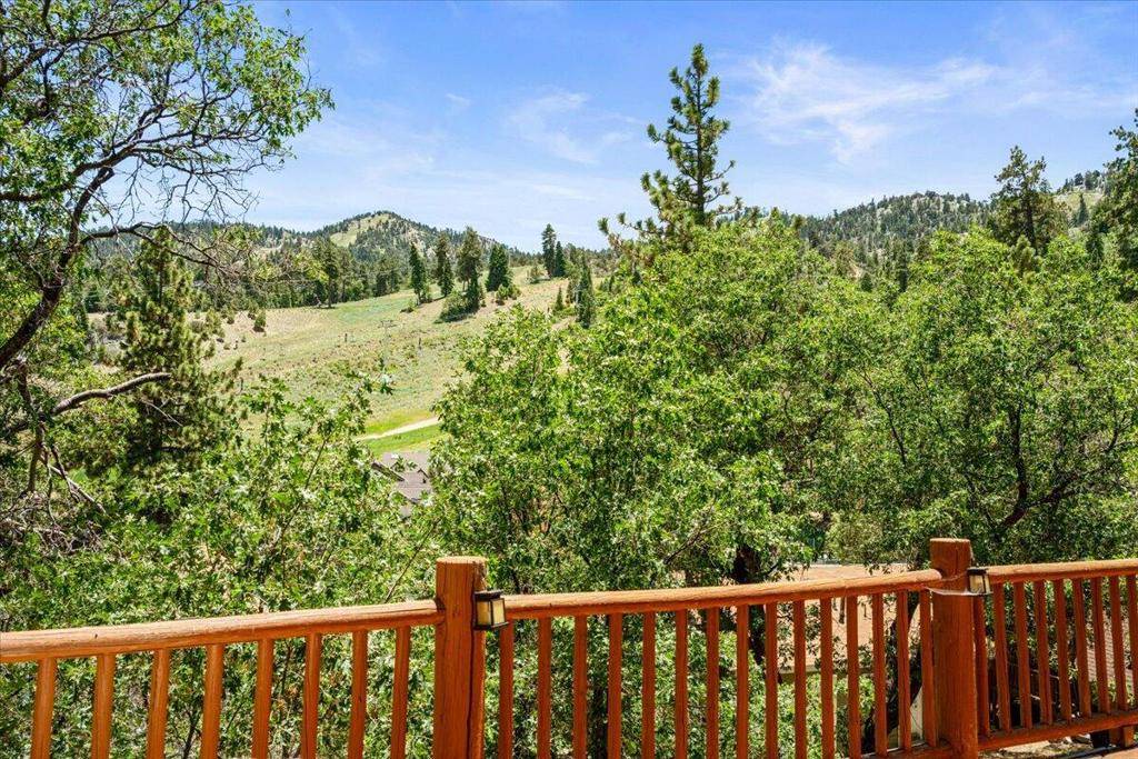 Big Bear, CA 92315,1351 Balsam DR
