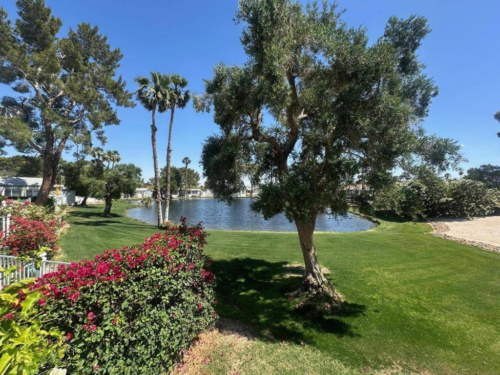 Desert Hot Springs, CA 92241,74711 Dillon RD #53