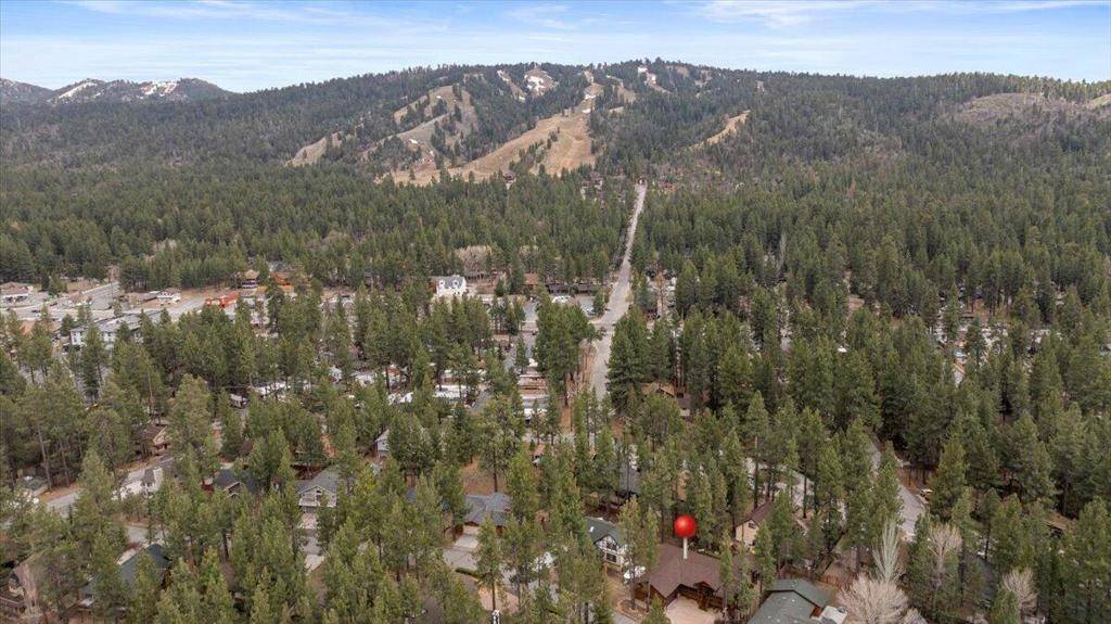 Big Bear, CA 92315,41691 Mockingbird DR