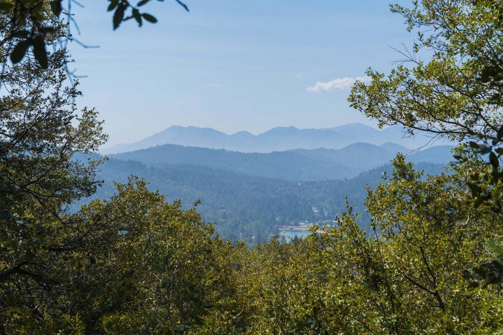 Crestline, CA 92325,0 Chillon DR