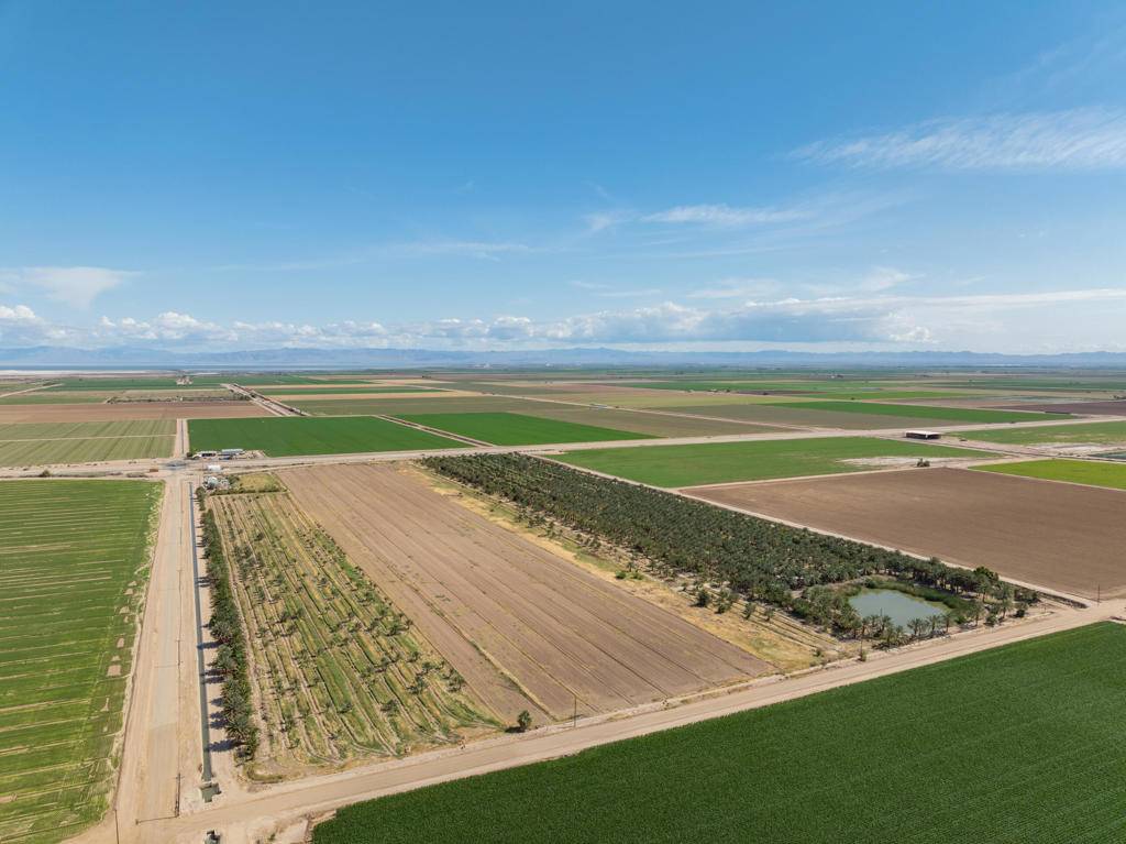Westmorland, CA 92281,5296 Buck RD