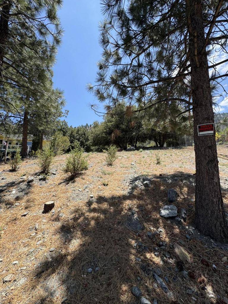 Wrightwood, CA 92397,5236 Desert View DR