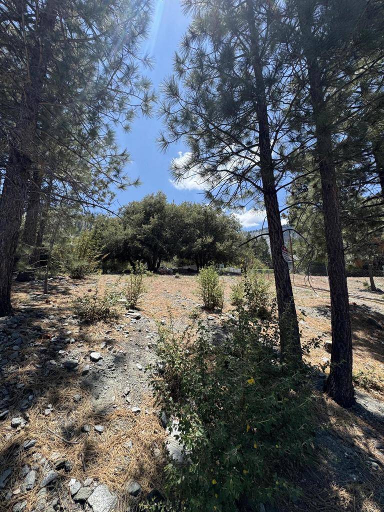 Wrightwood, CA 92397,5236 Desert View DR