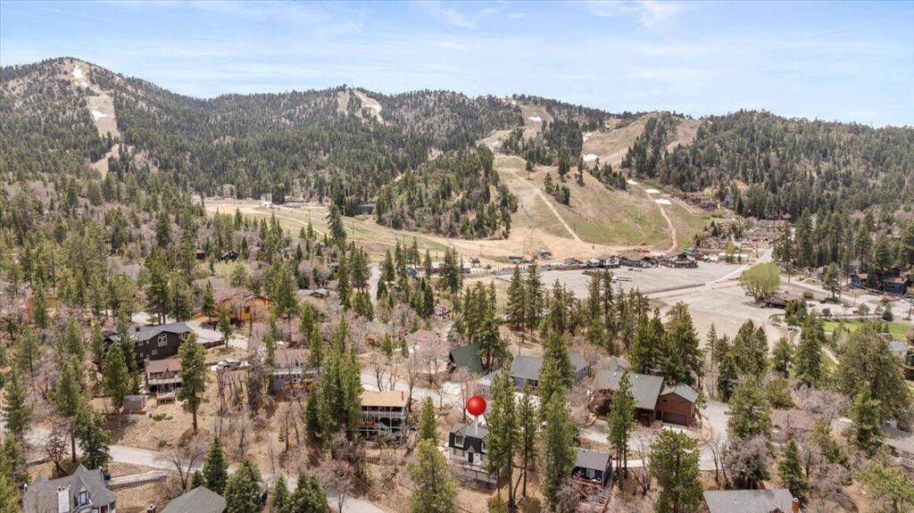 Big Bear, CA 92315,43289 Shasta RD