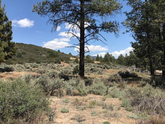 Mountain Center, CA 92561,1 Butterfly Peak RD