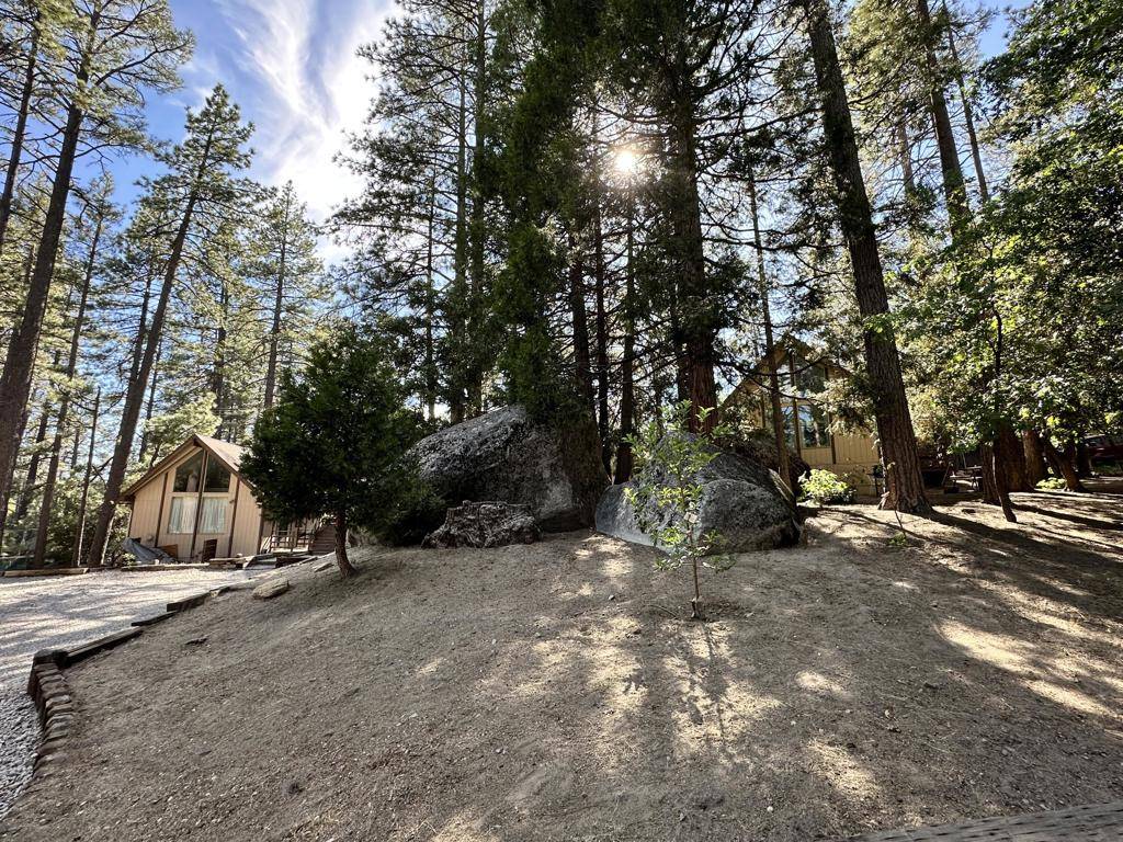 Idyllwild, CA 92549,26305 Delano DR