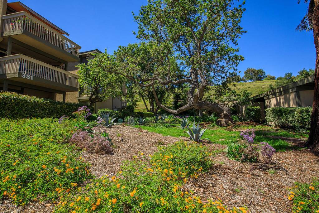 Thousand Oaks, CA 91360,351 Chestnut Hill CT #24