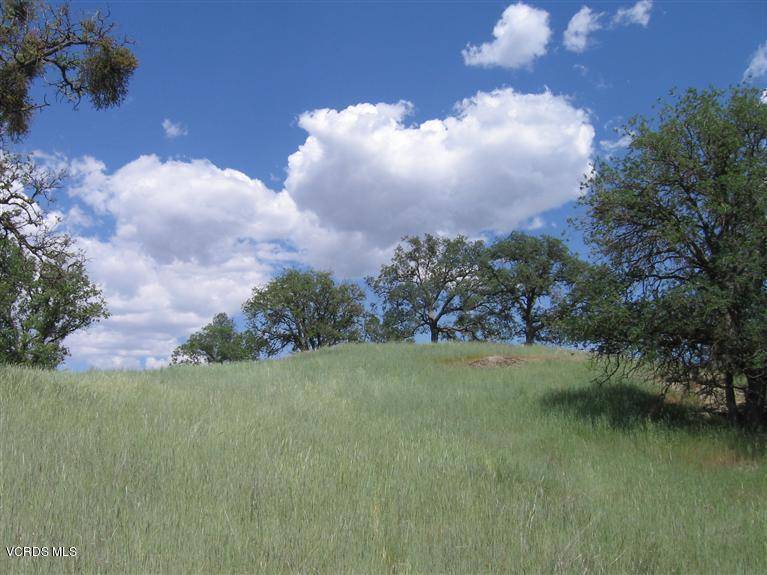 Tehachapi, CA 93561,29100 Horsethief Drive #Lot 152