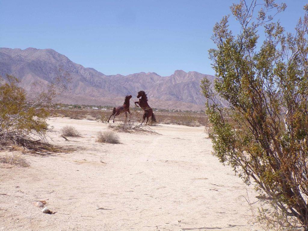 Borrego Springs, CA 92004,0 Split Mountain Road