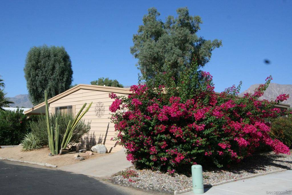 Borrego Springs, CA 92004,#224 1010 Palm Canyon Dr #224