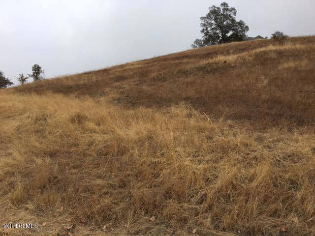 Tehachapi, CA 93561,30701 Buckskin DR #Lot 9