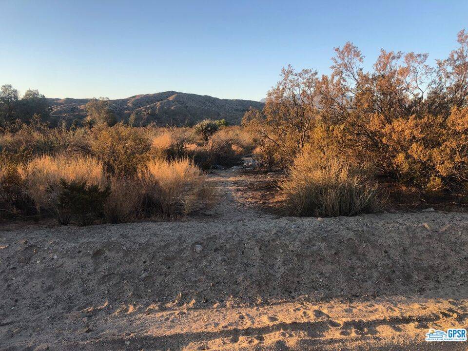 Morongo Valley, CA 92256,0 Pioneer RD