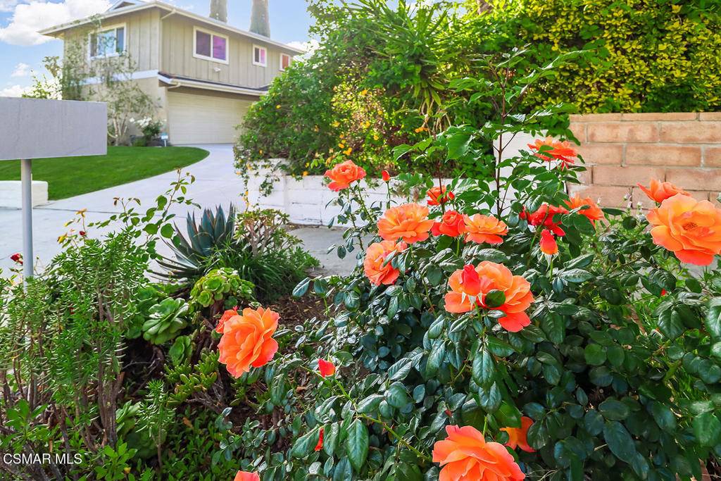 Oak Park, CA 91377,6599 Joshua ST