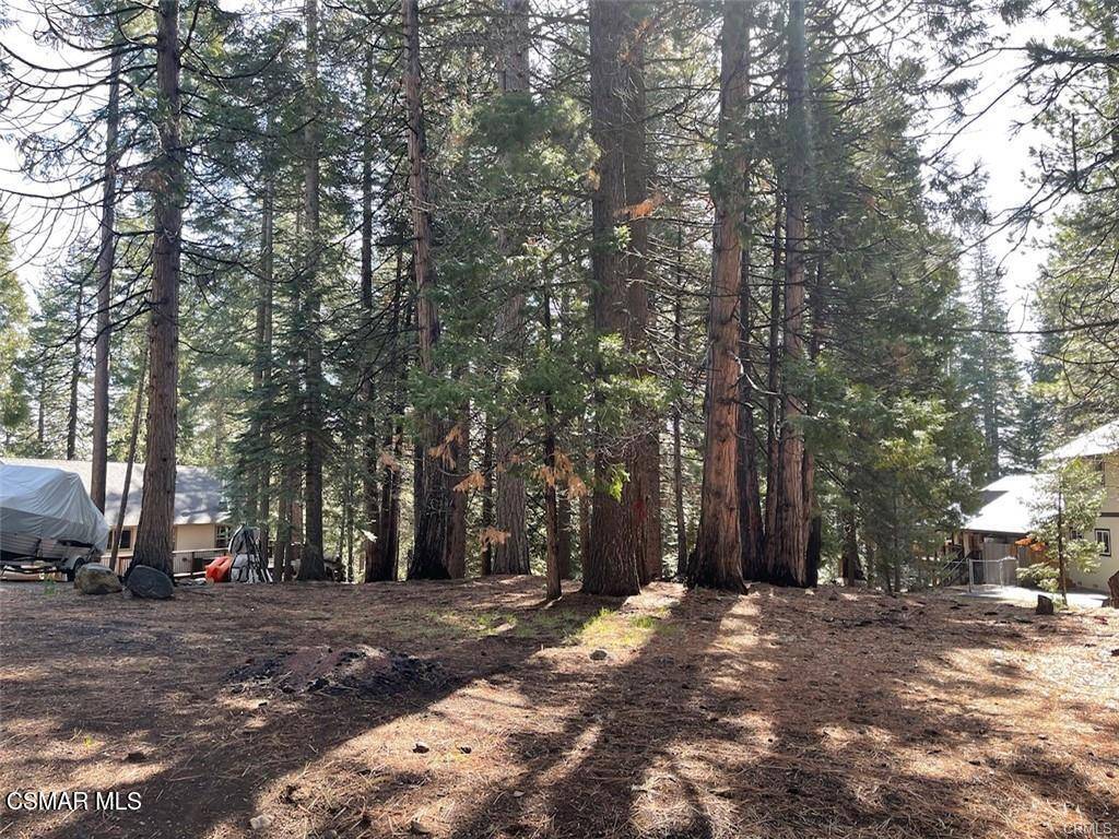 Lake Almanor, CA 96137,728 Lake Ridge RD