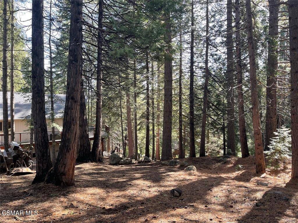 Lake Almanor, CA 96137,728 Lake Ridge RD
