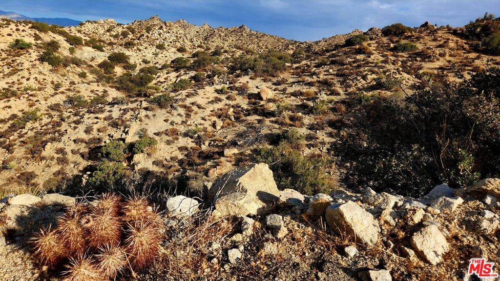 Yucca Valley, CA 92284,10 W Omega TRL