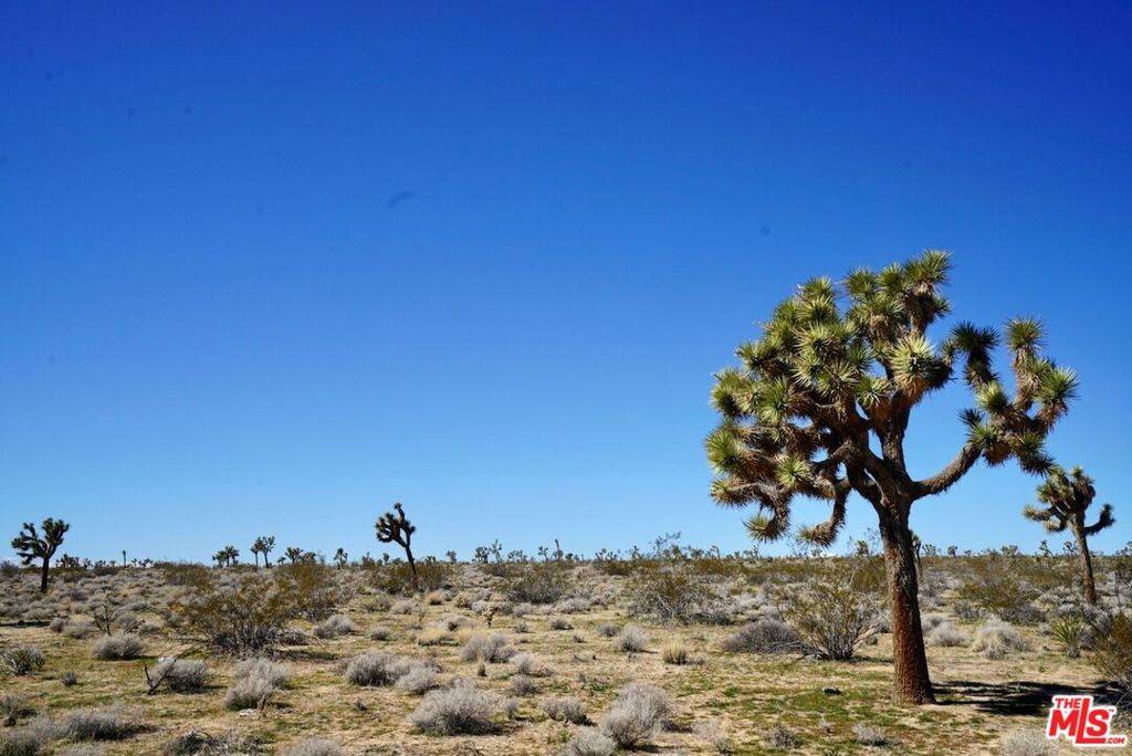 Yucca Valley, CA 92284,0 Yucca Mesa RD