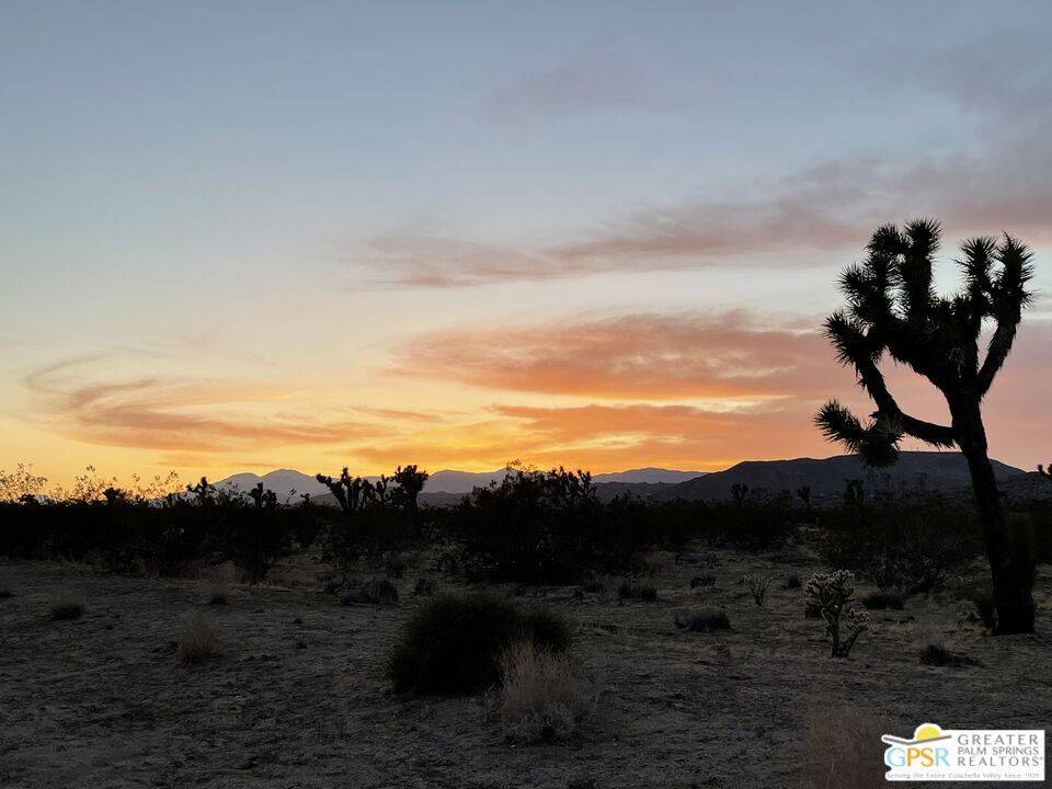 Joshua Tree, CA 92284,0 Verbena Rd.