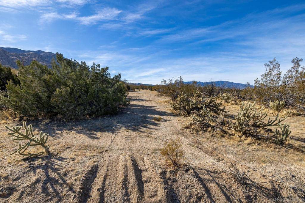 Julian, CA 92036,Trail