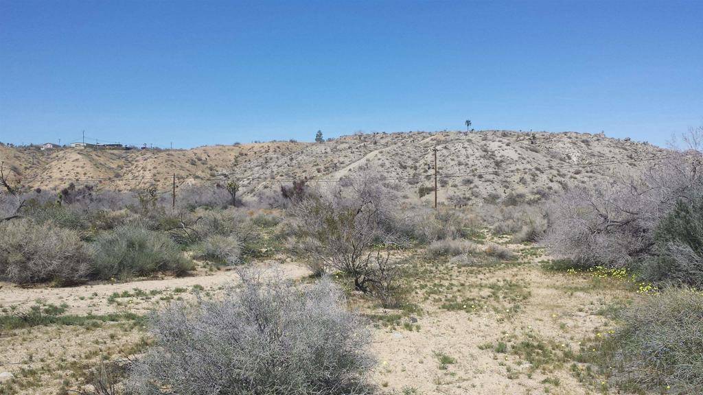 Yucca Valley, CA 92284,Address not disclosed