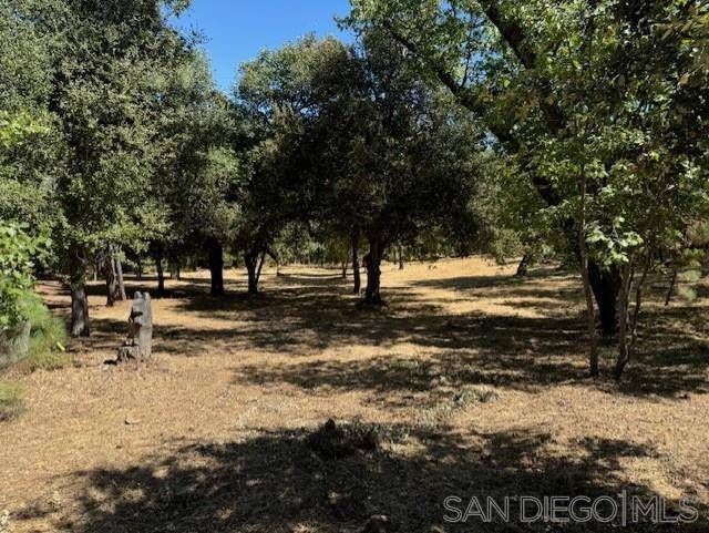 Julian, CA 92036,Blue Jay Drive