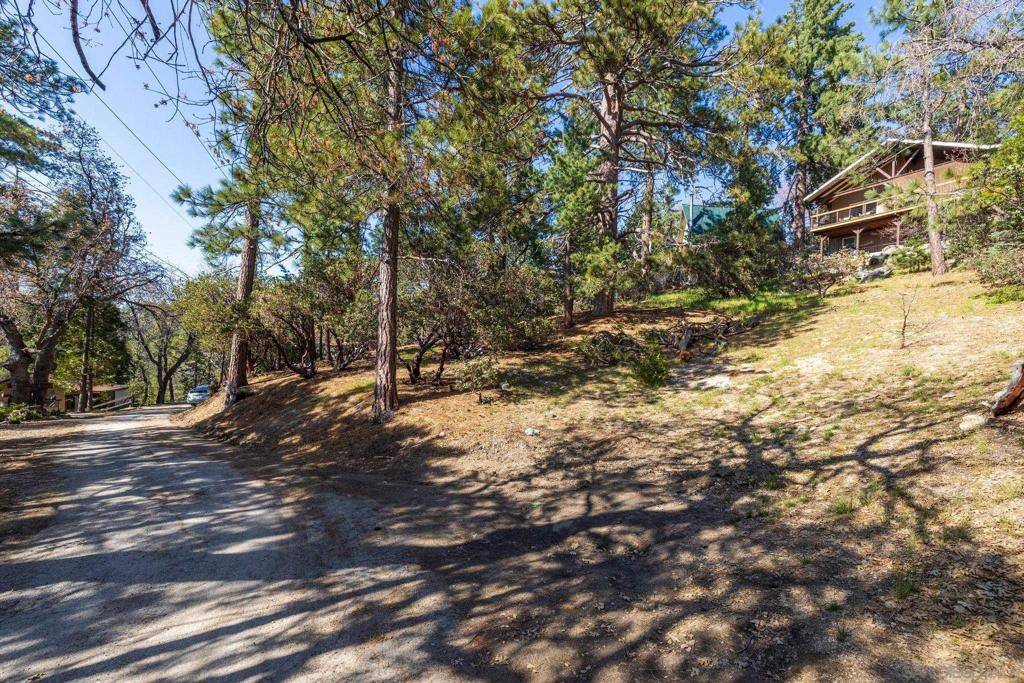 Idyllwild, CA 92549,0 Logan Creek Dr.