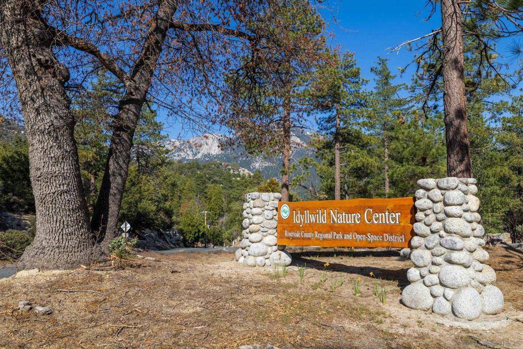 Idyllwild, CA 92549,0 Logan Creek Dr.