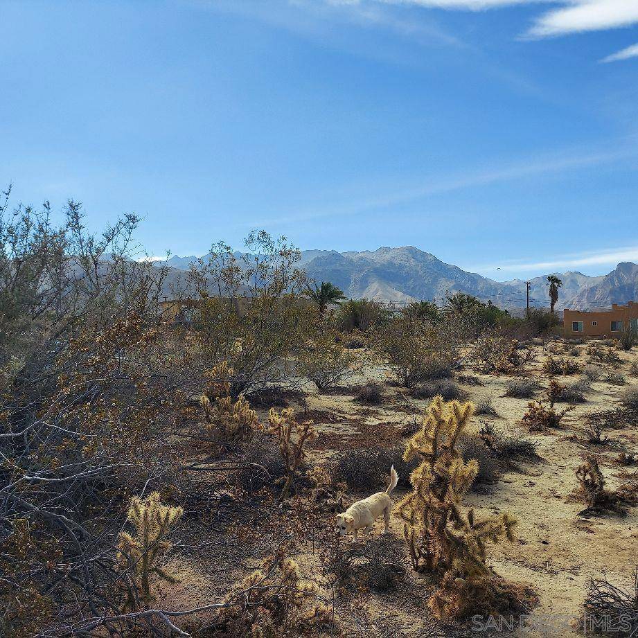 Borrego Springs, CA 92004,0 Santa Saba Court