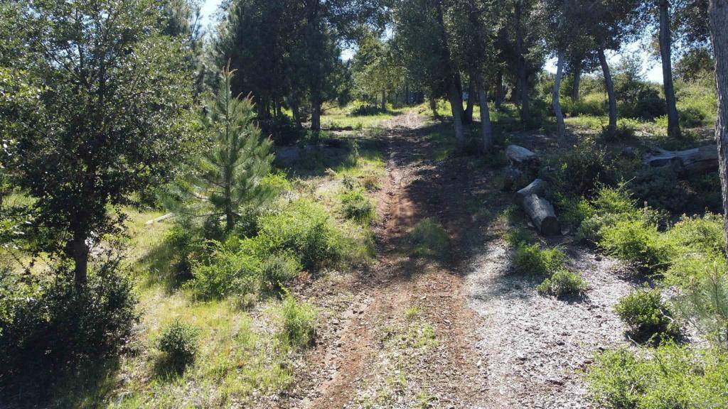 Julian, CA 92036,0 Toyon Mountain Ln