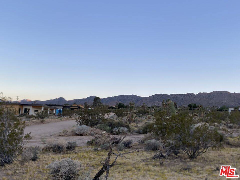 Joshua Tree, CA 92252,0 Saddleback RD