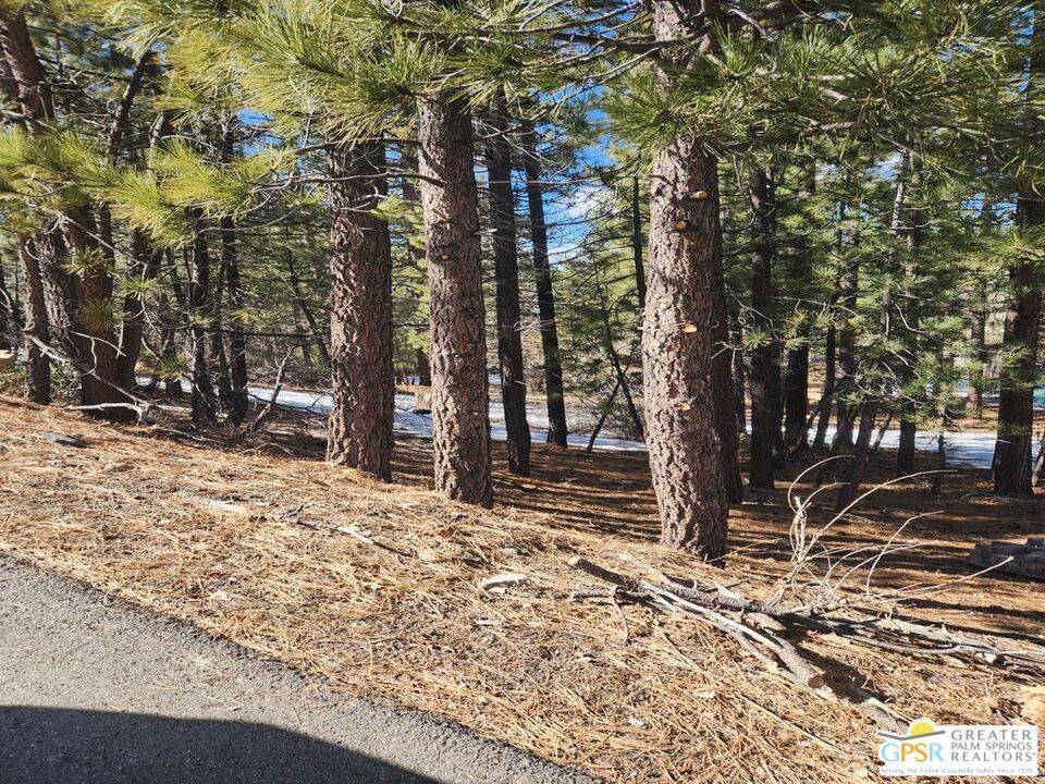 Big Bear, CA 92315,0 Modoc DR