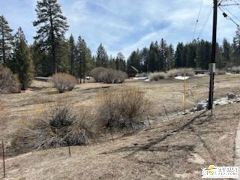 Big Bear, CA 92315,789 Tulip LN